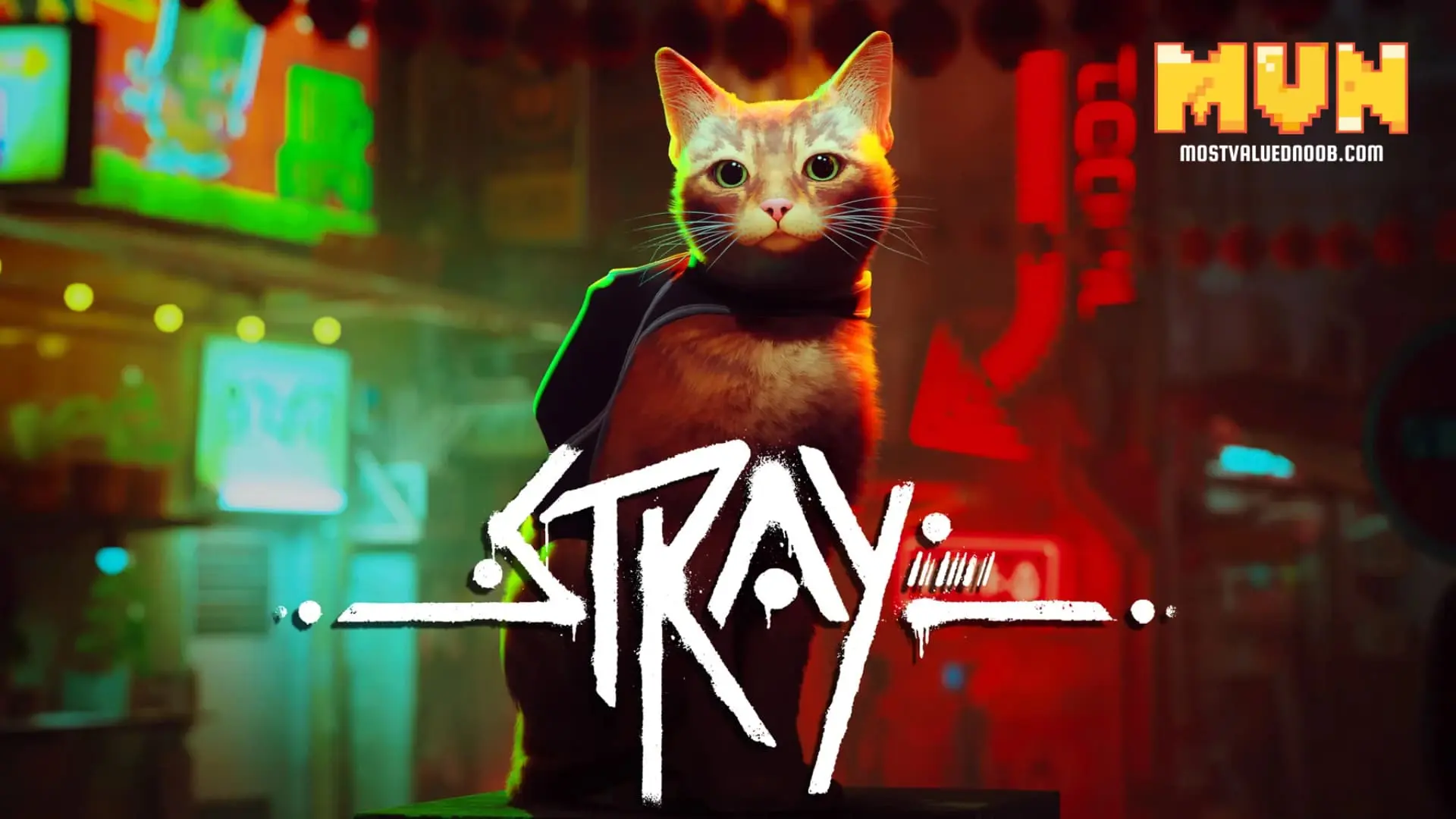 Stray Video Game