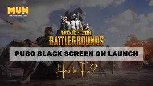 Pubg Black Screen on Launch