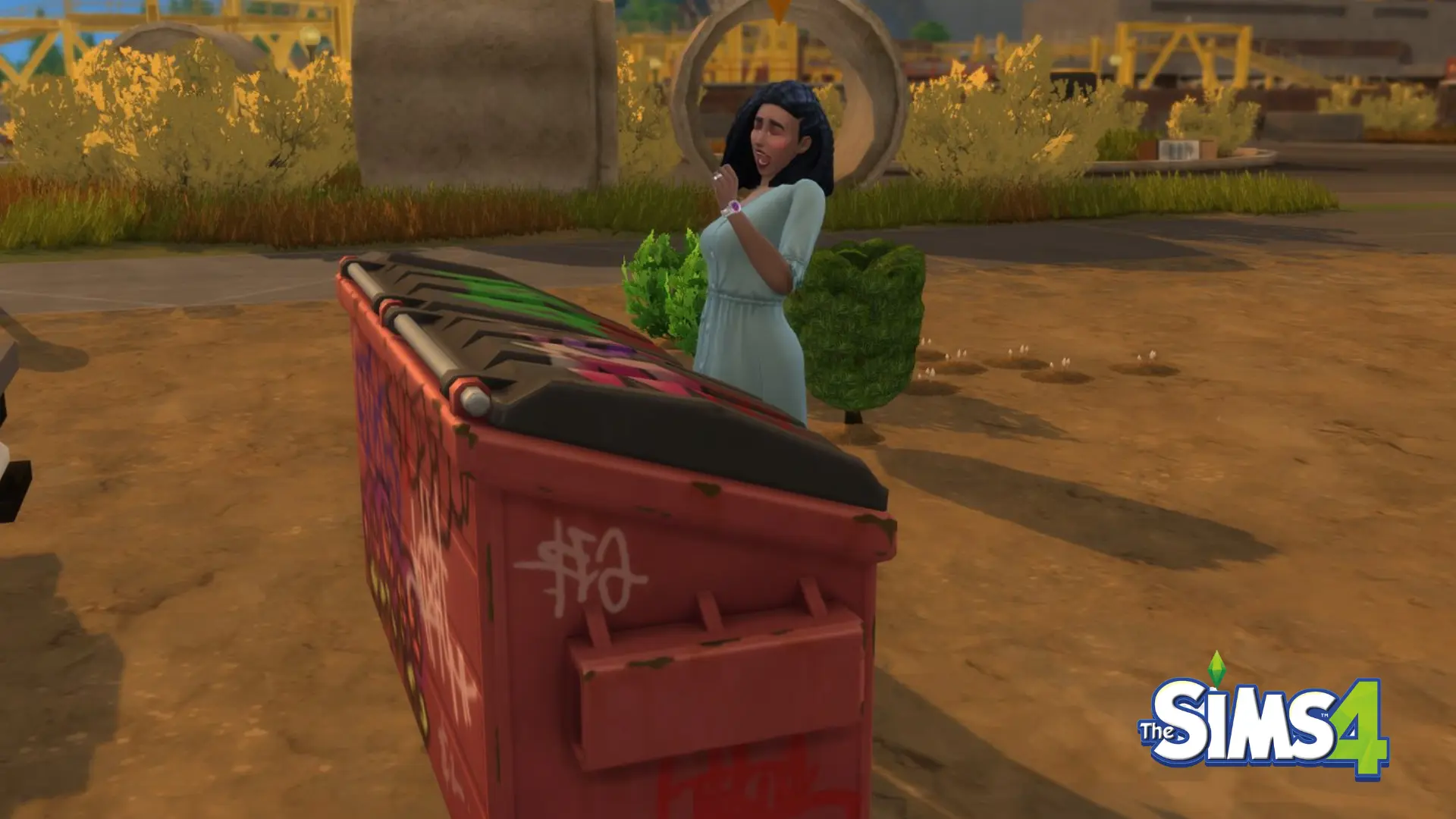 Dumpster Challenge