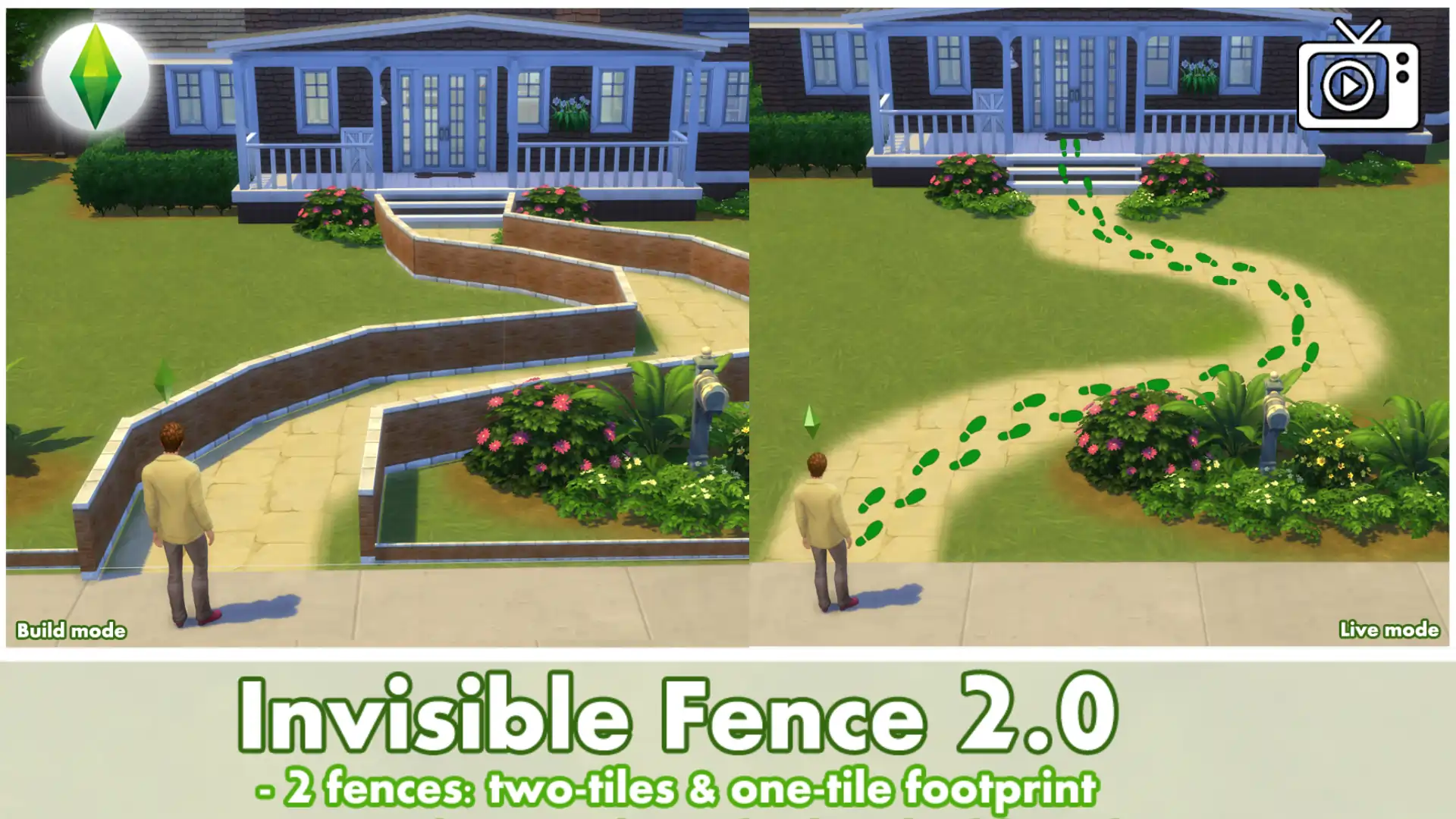 Invisible Fence